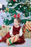 Merry Christmas 2024 - Ghi dấu mùa Giáng sinh an lành Hoa Trạng Nguyên